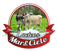 Lacteos